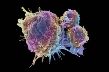 How Many Cancer Cells Are in the Human Body?